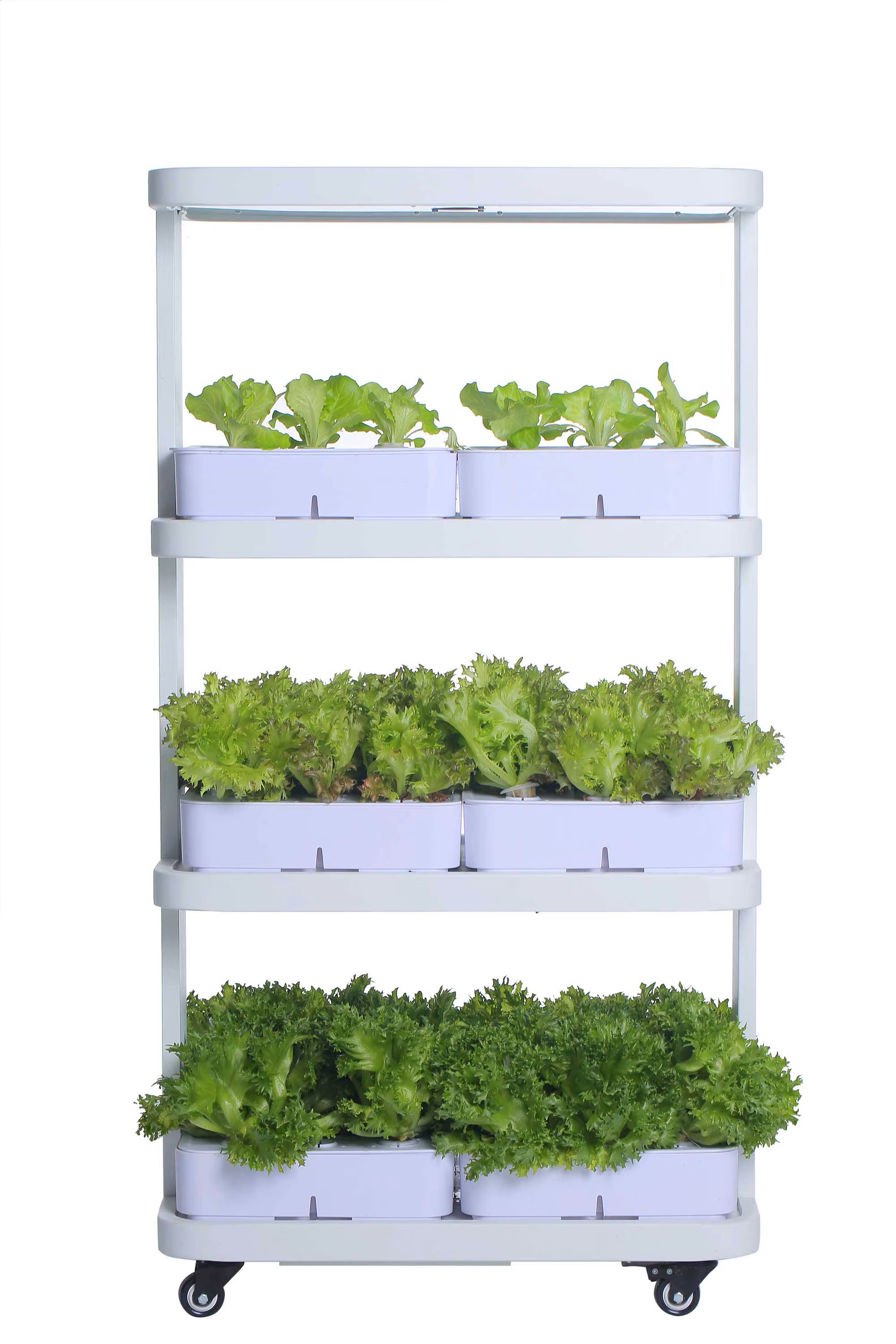 Гидропонная установка 72 лотка (65х38,5х121,5 см)