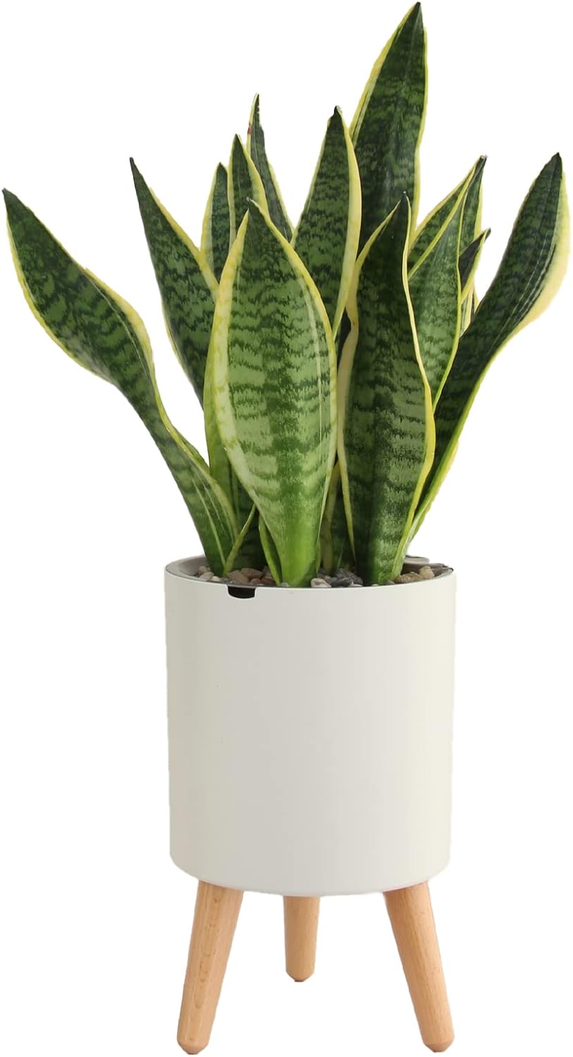 Интеллектуальный цветочный горшок